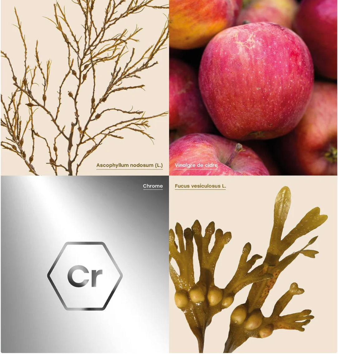 GELULES GLYCEMIE (60 capsules)